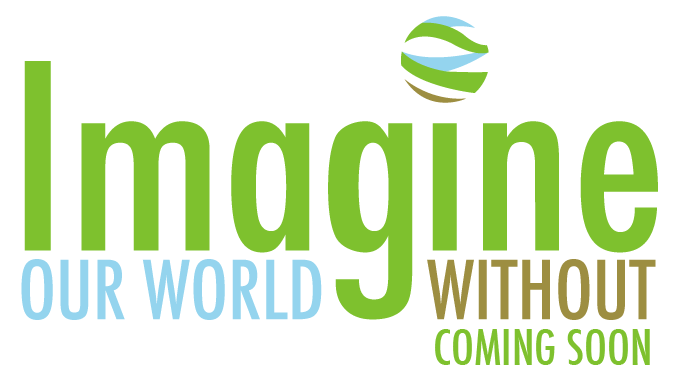 Imagine Our World Without